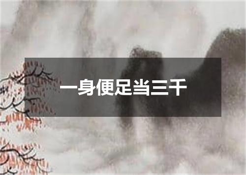 一身便足当三千