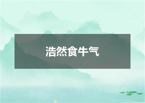 浩然食牛气