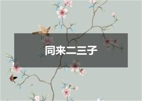 同来二三子