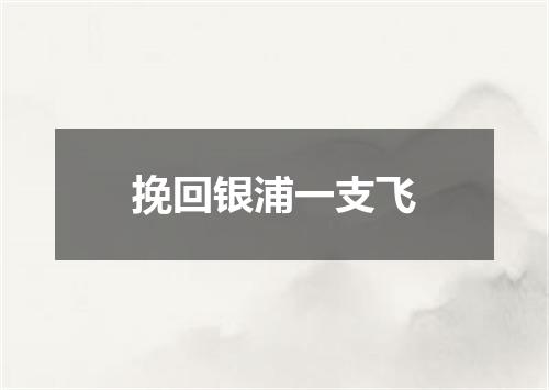挽回银浦一支飞
