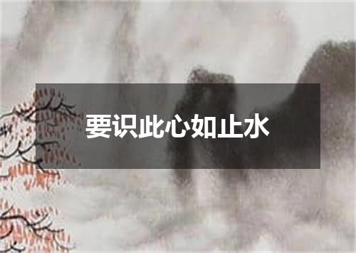 要识此心如止水