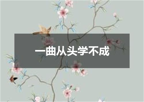 一曲从头学不成