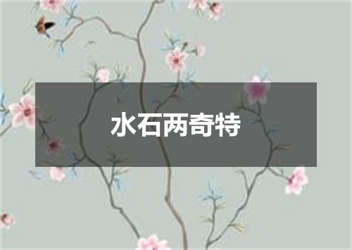 水石两奇特