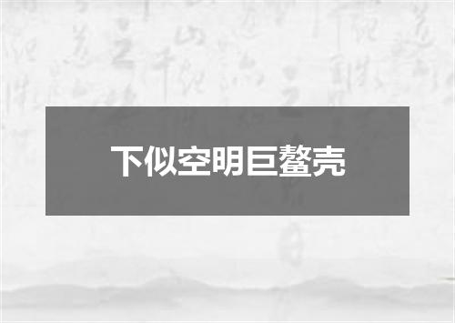 下似空明巨鳌壳