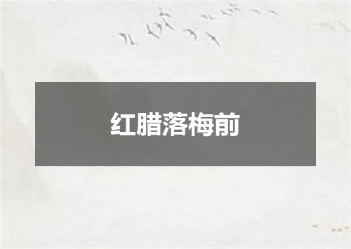 红腊落梅前