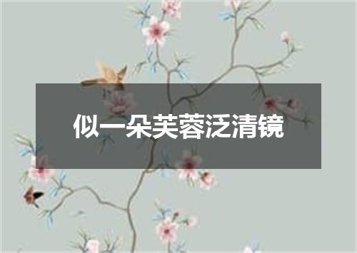 似一朵芙蓉泛清镜