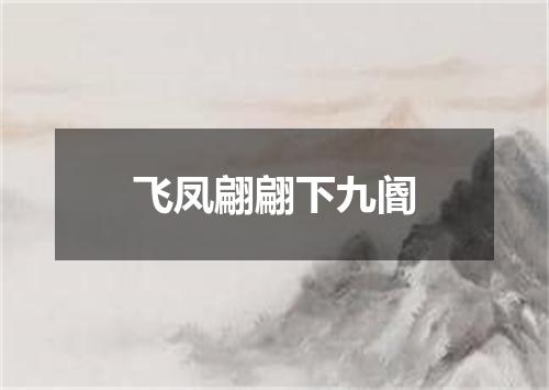 飞凤翩翩下九阍