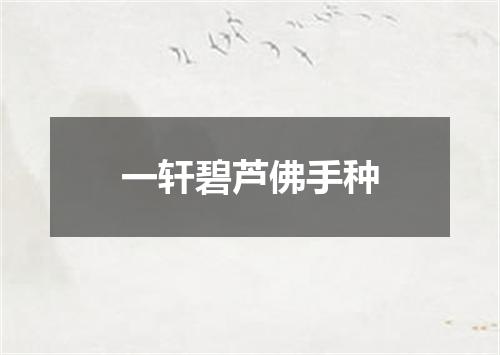 一轩碧芦佛手种