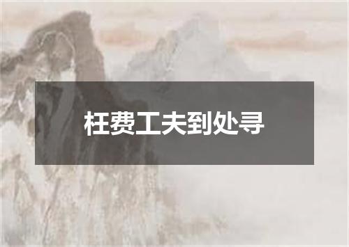 枉费工夫到处寻
