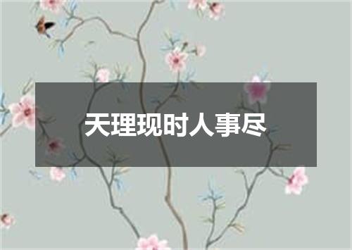 天理现时人事尽