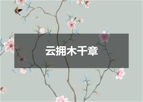云拥木千章