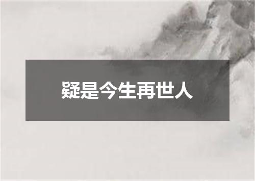 疑是今生再世人