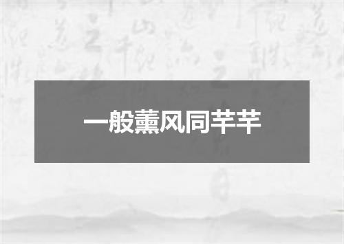 一般薰风同芊芊