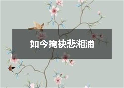 如今掩袂悲湘浦
