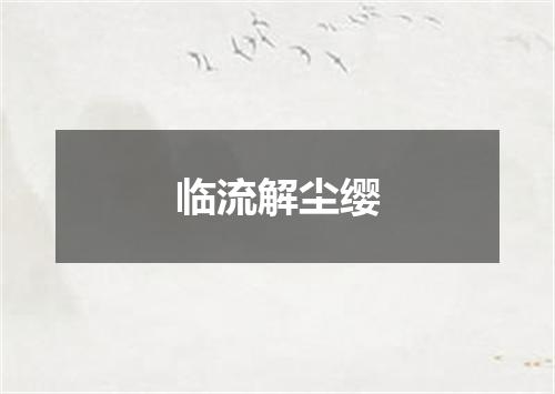 临流解尘缨