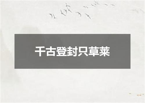 千古登封只草莱