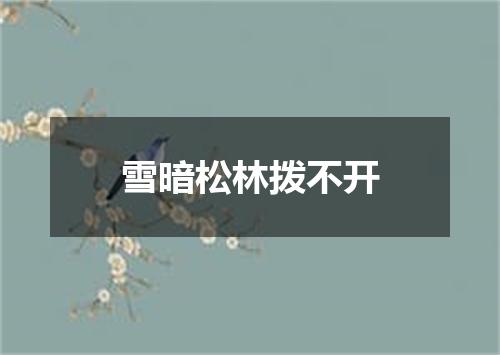 雪暗松林拨不开
