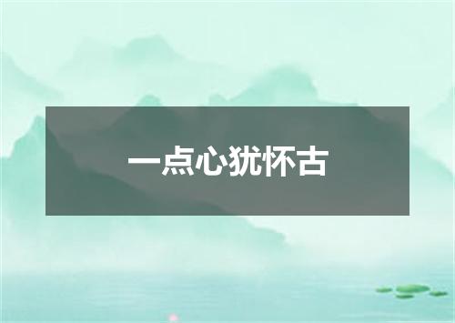 一点心犹怀古