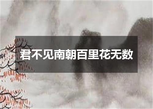 君不见南朝百里花无数
