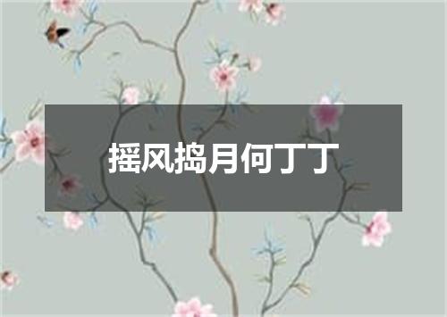摇风捣月何丁丁
