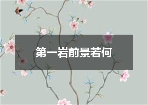 第一岩前景若何