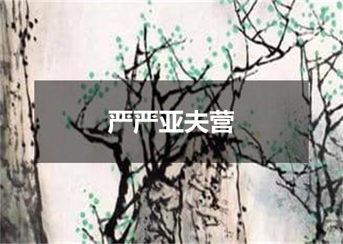 严严亚夫营