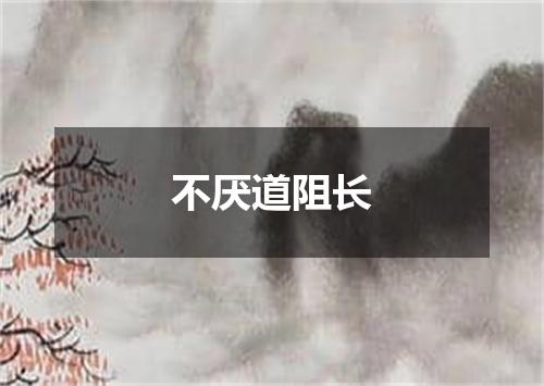 不厌道阻长