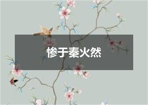 惨于秦火然