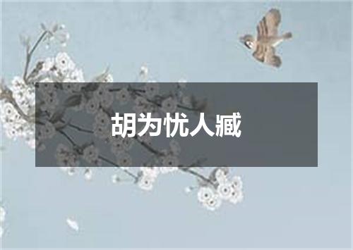 胡为忧人臧
