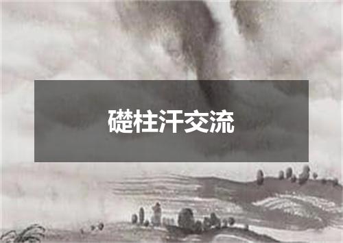 礎柱汗交流