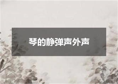 琴的静弹声外声