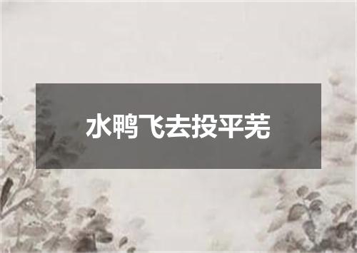 水鸭飞去投平芜
