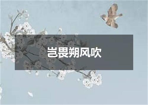 岂畏朔风吹
