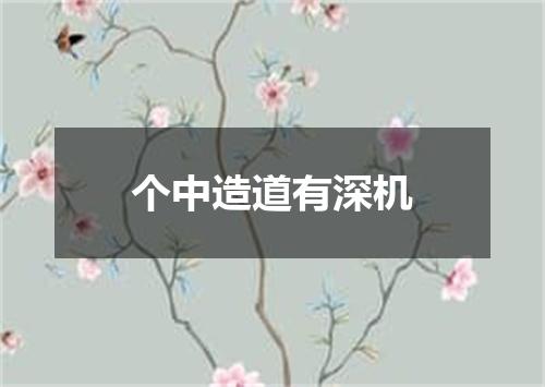 个中造道有深机