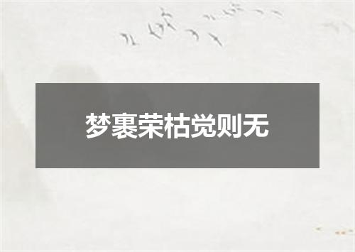 梦裹荣枯觉则无