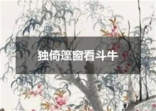 独倚篷窗看斗牛