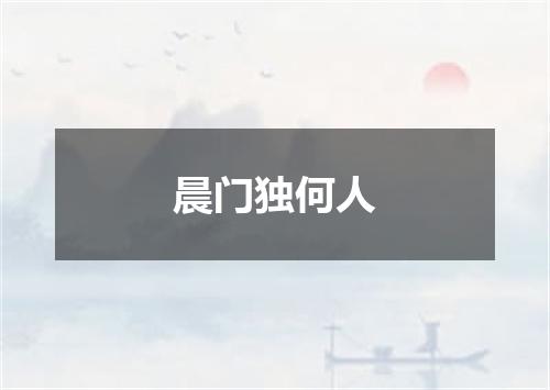 晨门独何人