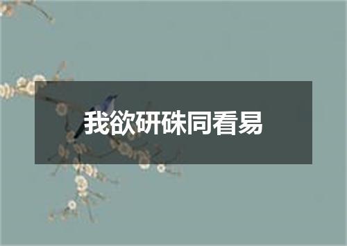 我欲研硃同看易