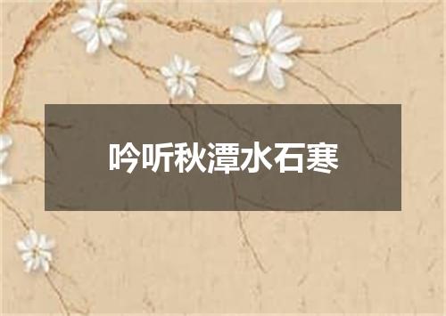 吟听秋潭水石寒