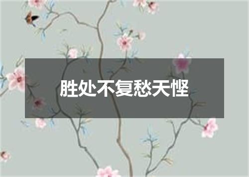 胜处不复愁天悭