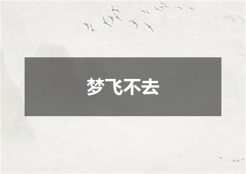 梦飞不去
