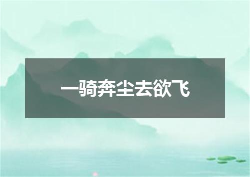 一骑奔尘去欲飞
