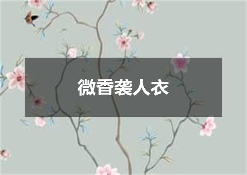 微香袭人衣