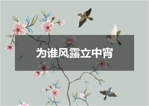 为谁风露立中宵