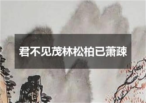 君不见茂林松柏已萧疎