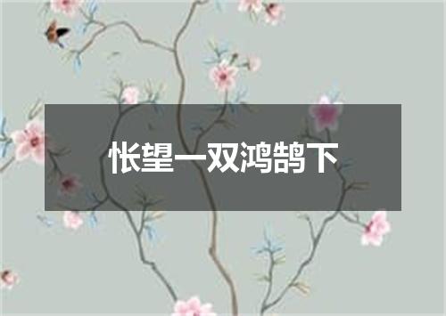 怅望一双鸿鹄下