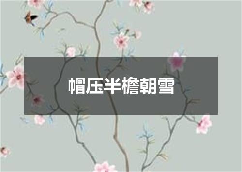 帽压半檐朝雪