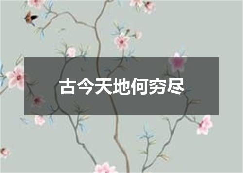 古今天地何穷尽