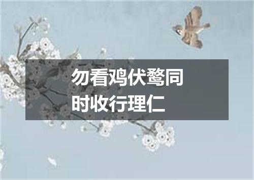 勿看鸡伏鹜同时收行理仁