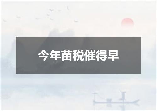 今年苗税催得早
